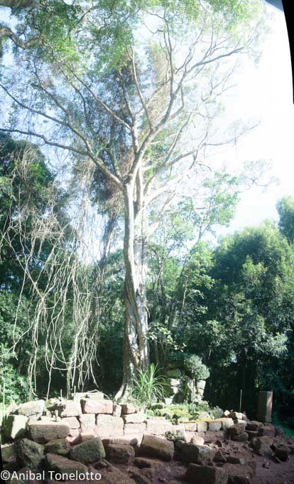 _DSC2834 Panorama.jpg
